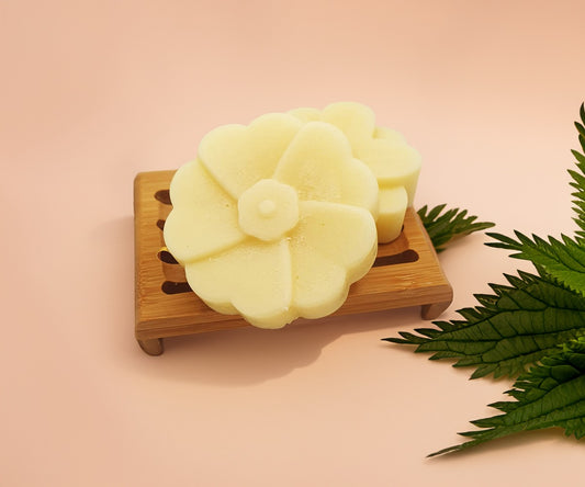 Fester Conditioner – Normales Haar | Manga & Ginseng | 50g