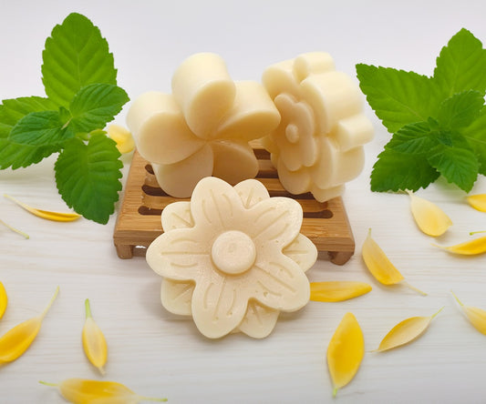 Fester Conditioner Anti-Schuppen – Tea Tree & Karité | 50g