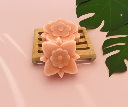 Fester Conditioner – Trockenes Haar | Karité & Murumuru | 50g